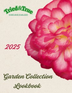 2025 Tried & True Garden Collection